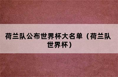 荷兰队公布世界杯大名单（荷兰队 世界杯）